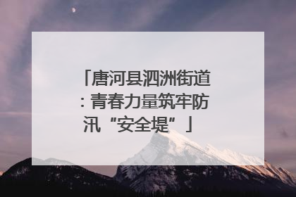 唐河县泗洲街道：青春力量筑牢防汛“安全堤”
